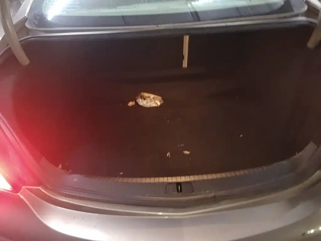 Buick Regal 2014 — фото 19