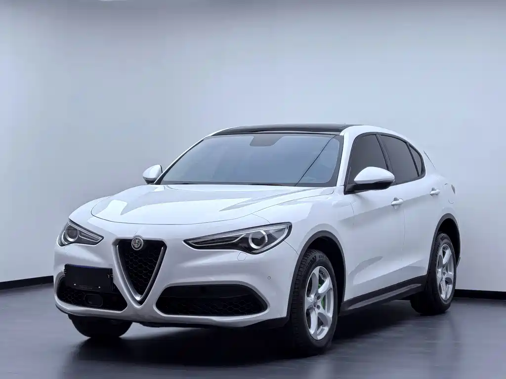 Alfa Romeo Stelvio 2019 — фото 1