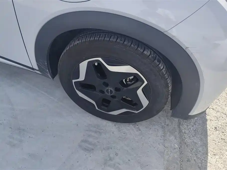 BYD Dolphin 2022
