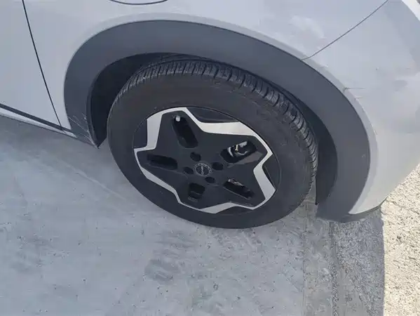 BYD Dolphin 2022