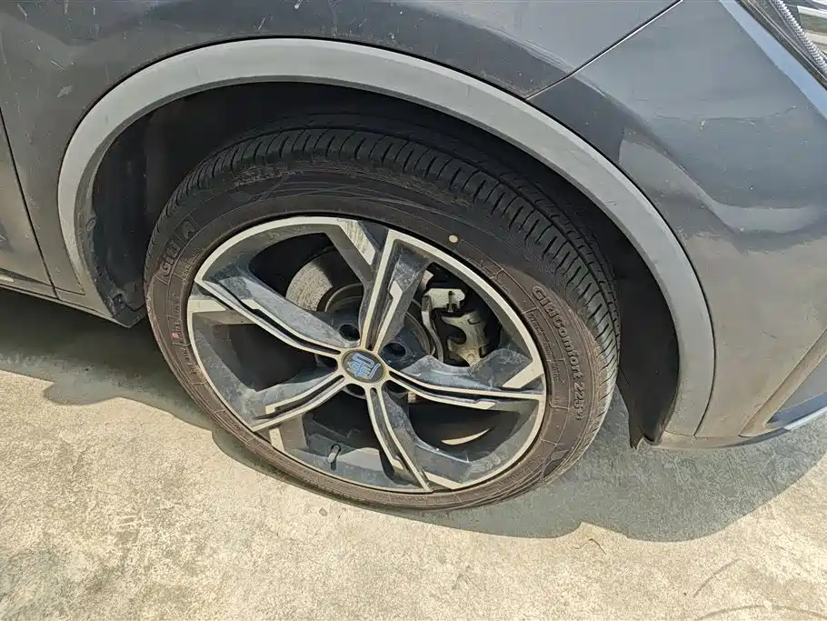 BYD Tang New Energy 2021