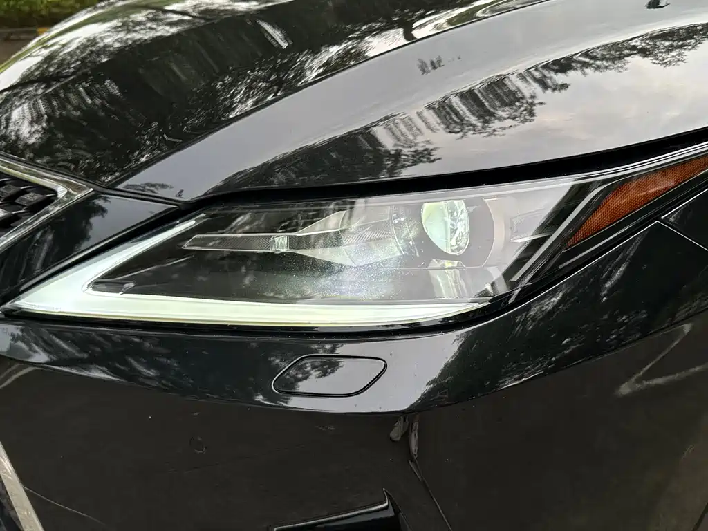 Lexus RX 2021 — фото 19
