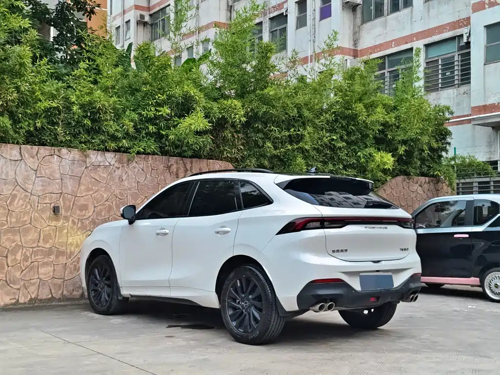 Fengxing T5 EVO 2021 — фото 4