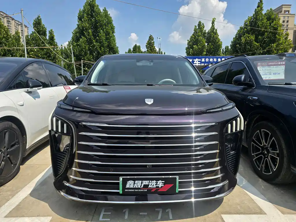 Dongfeng Forthing Xinghai V9 2024 — фото 2