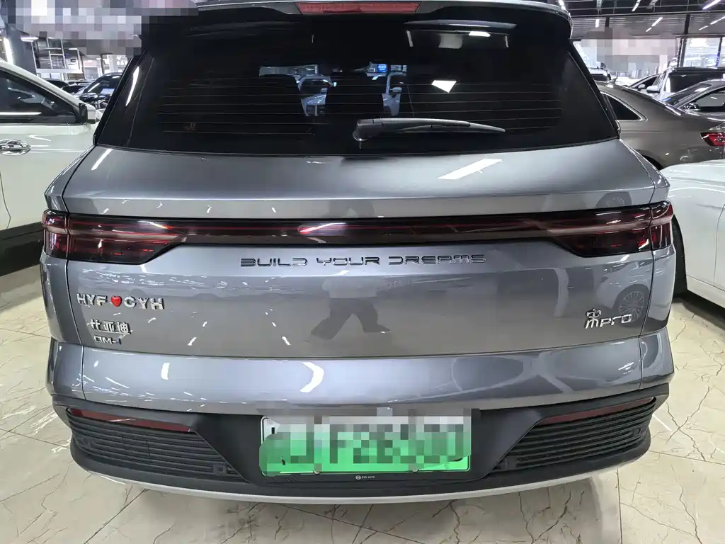 BYD Song Pro New Energy 2024 — фото 5