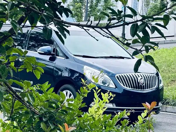 Buick GL8 2013