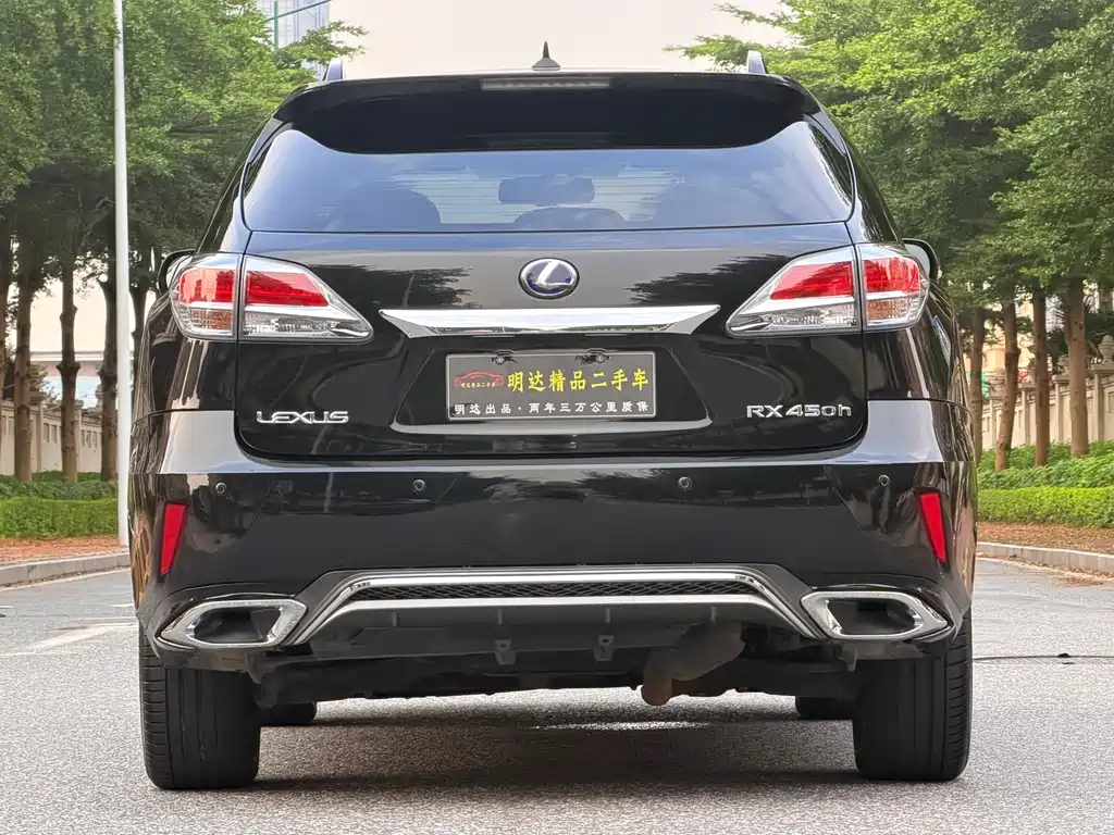 Lexus RX Classic 2013 — фото 14