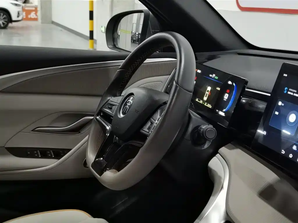 BYD Pro New Energy 2024 — фото 22