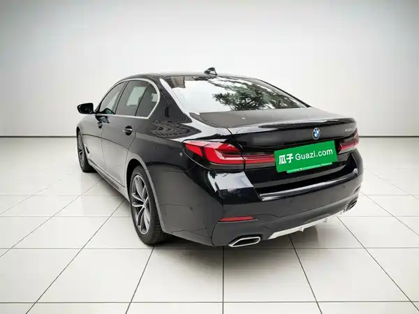 BMW 5 Series New Energy 2021