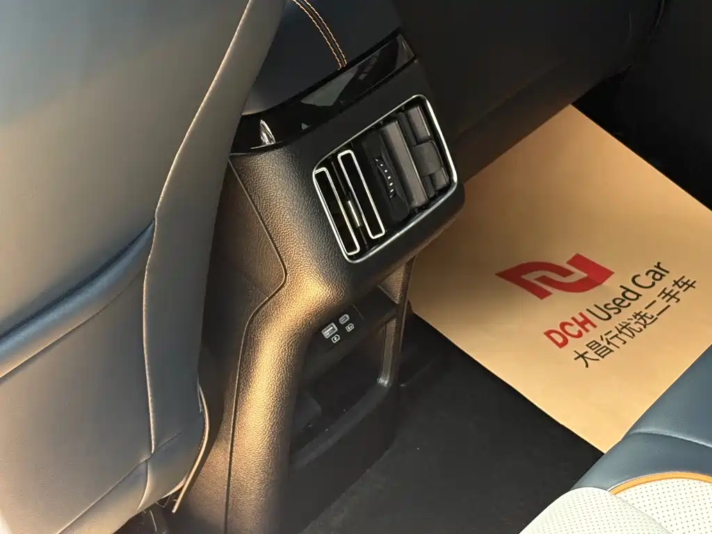 BYD Song PLUS New Energy 2024 — фото 15