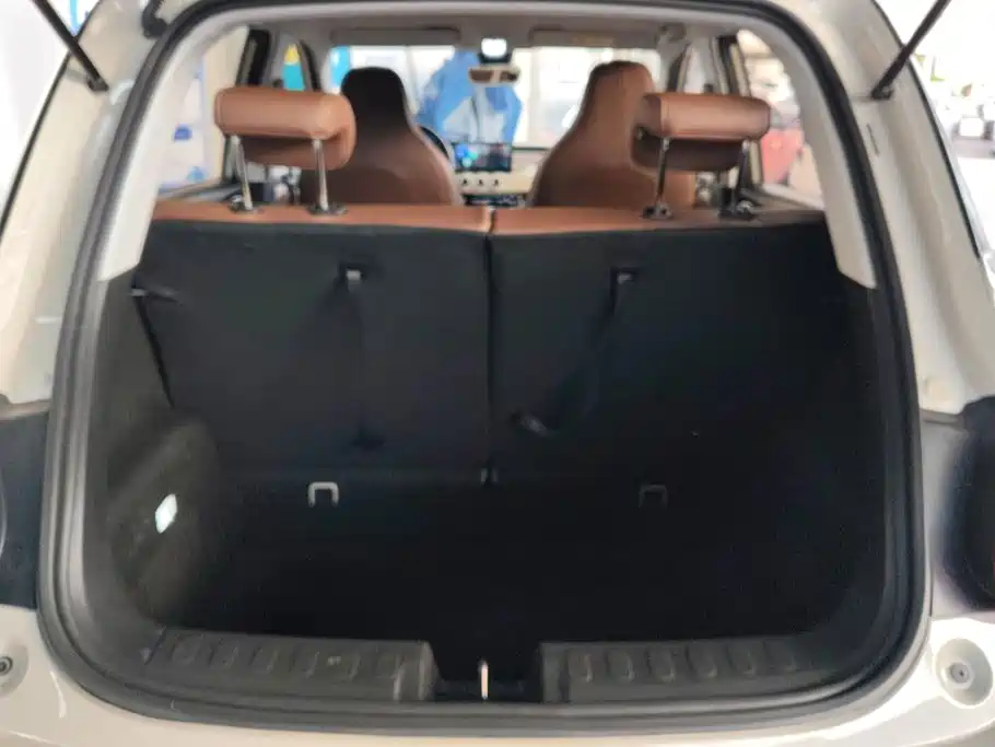 Wuling Bingo 2024