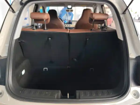 Wuling Bingo 2024