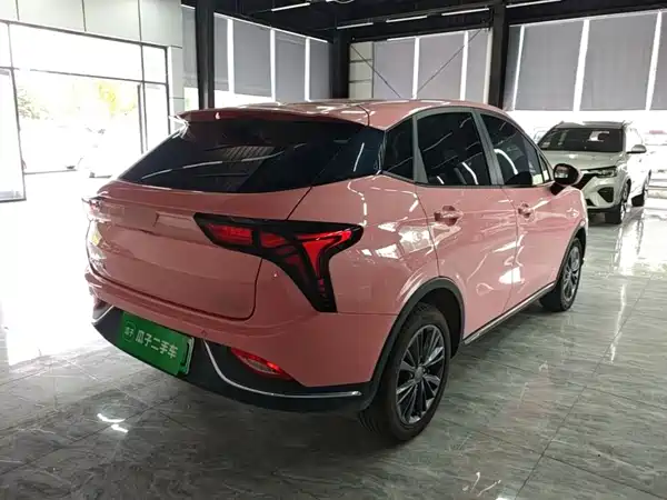 Neta V 2022