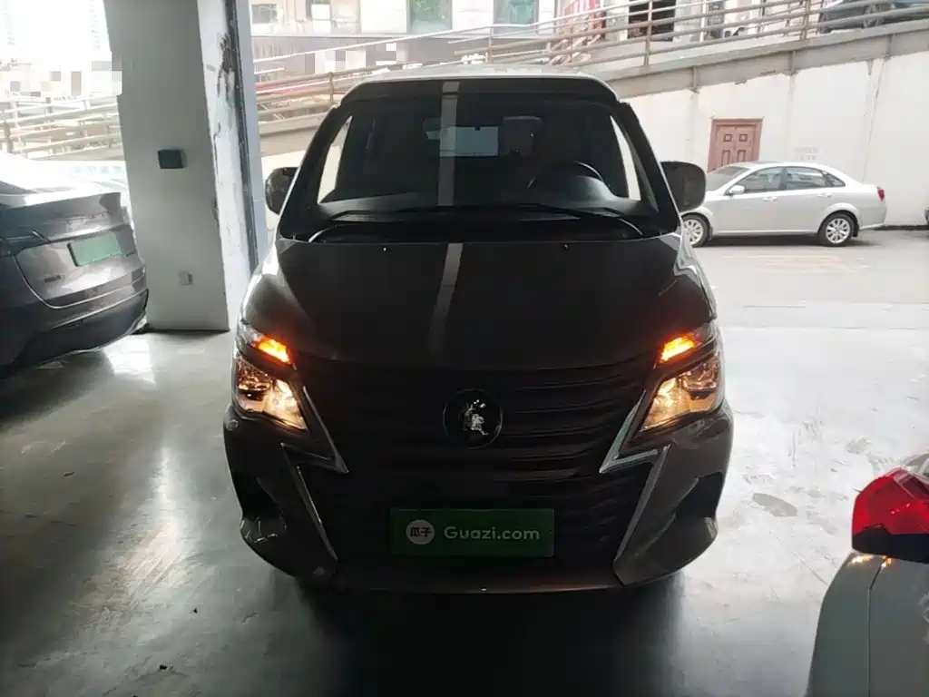 Dongfeng Lingzhi 2025