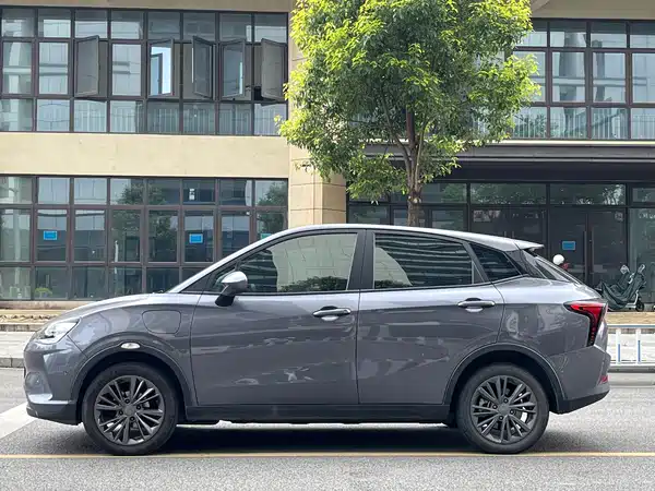 Neta V 2022
