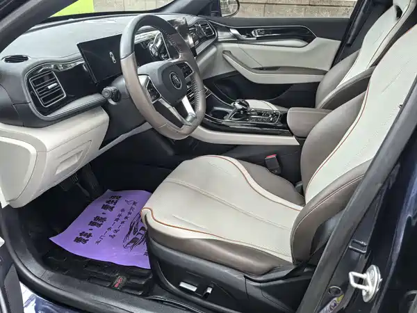 BYD Qin PLUS 2024