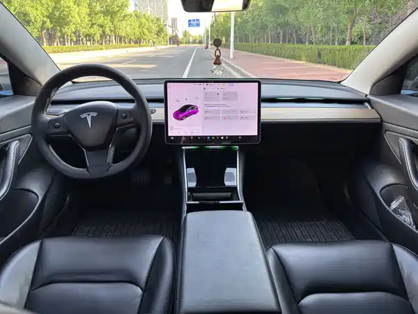 Tesla Model 3 2020