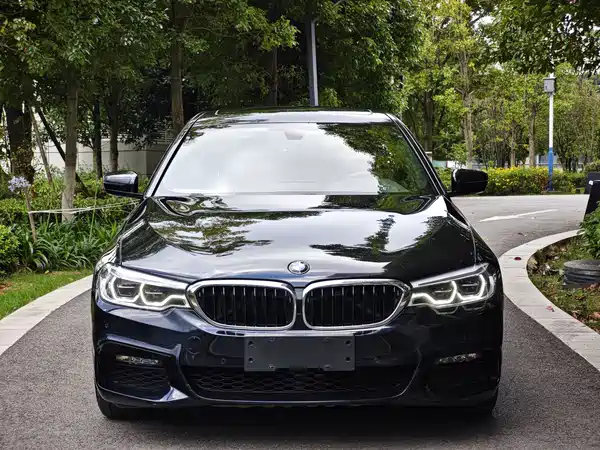 BMW 5 Series 2019