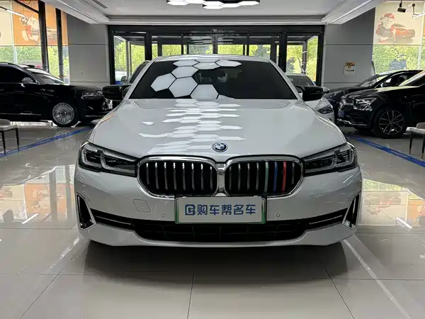 BMW 5 Series New Energy 2022