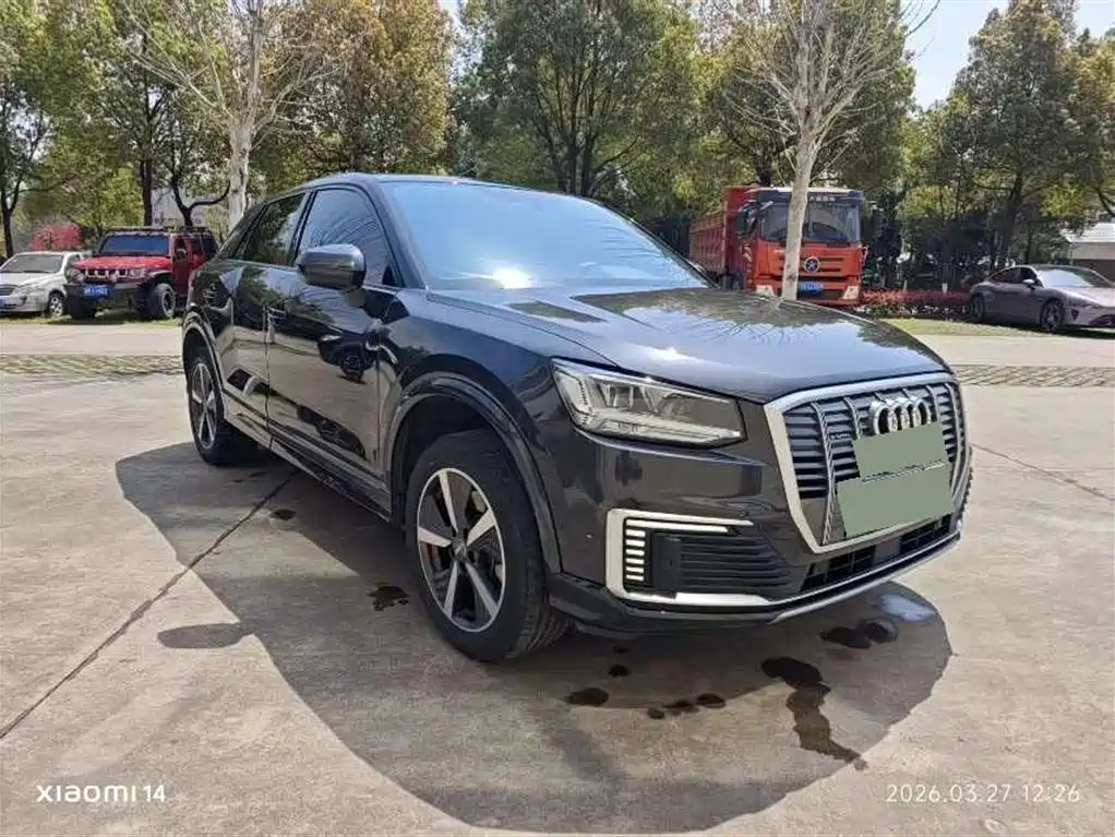 Audi Q2L e-tron 2021