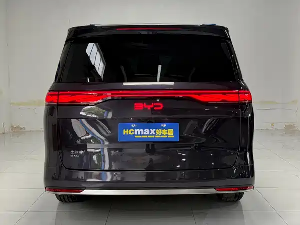 BYD Summer 2025