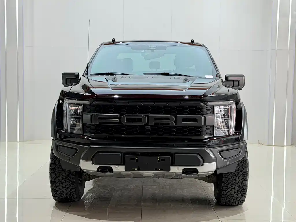 Ford F-150 Raptor 2024 — фото 1