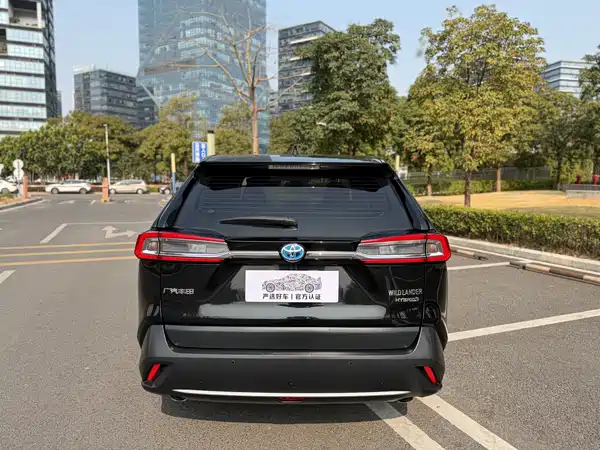 Toyota Wildlander 2021