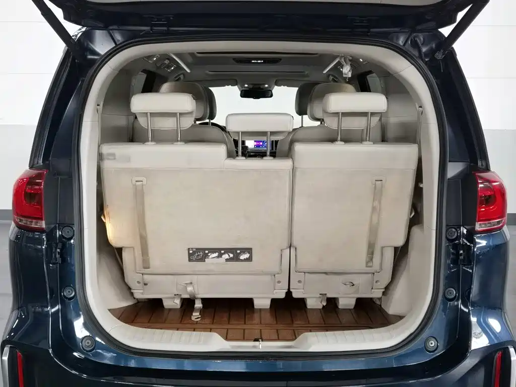 GAC Trumpchi M8 2020 — фото 16