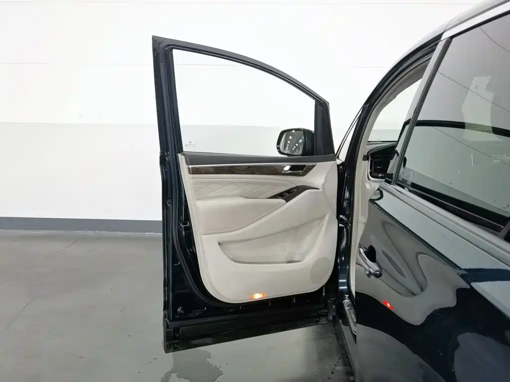 GAC Trumpchi M8 2020 — фото 8