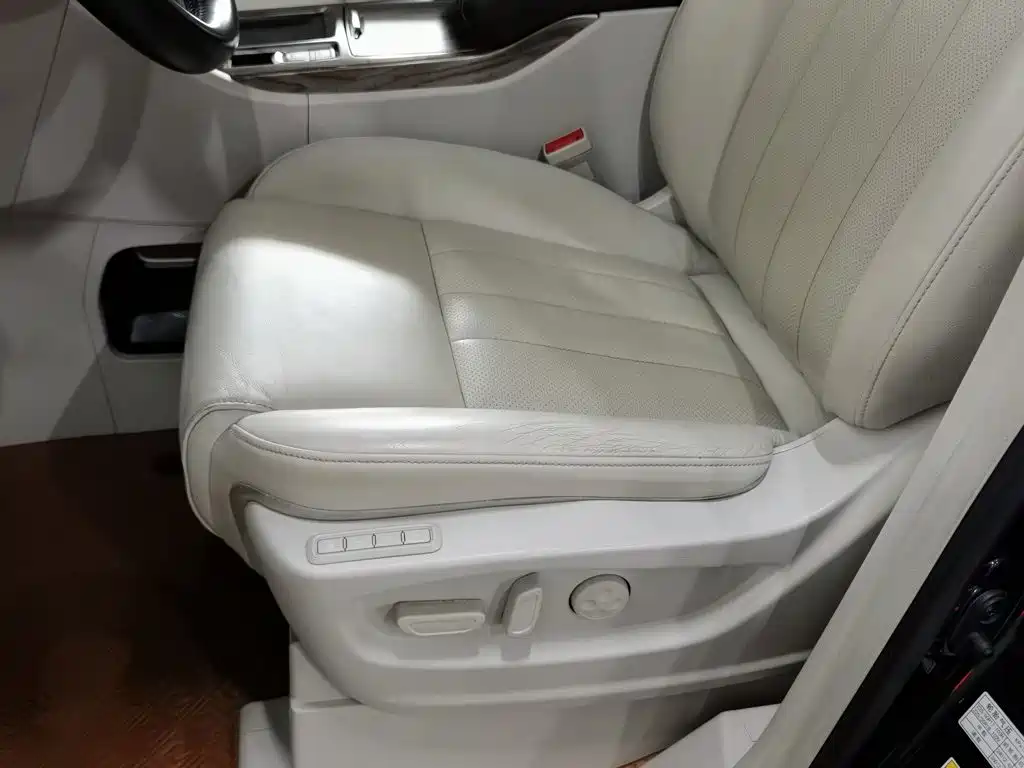 GAC Trumpchi M8 2020 — фото 20