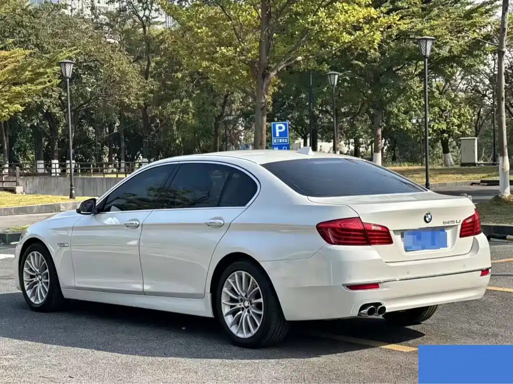BMW 5 Series 2014 — фото 4