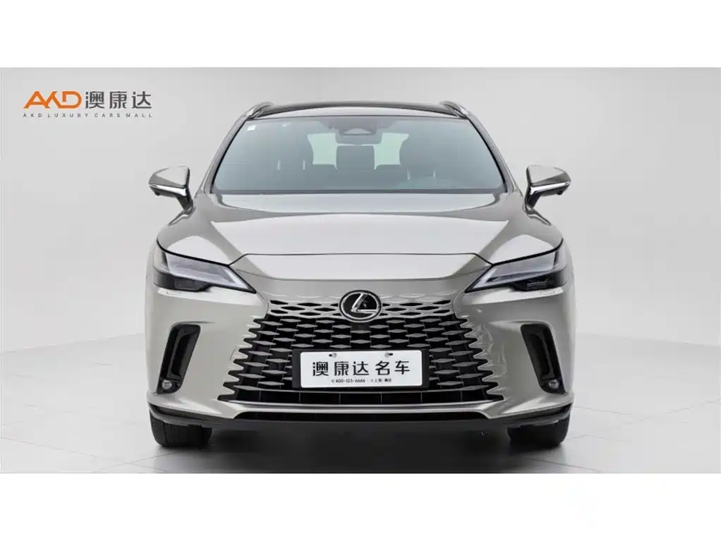 Lexus RX New Energy 2025 — фото 2
