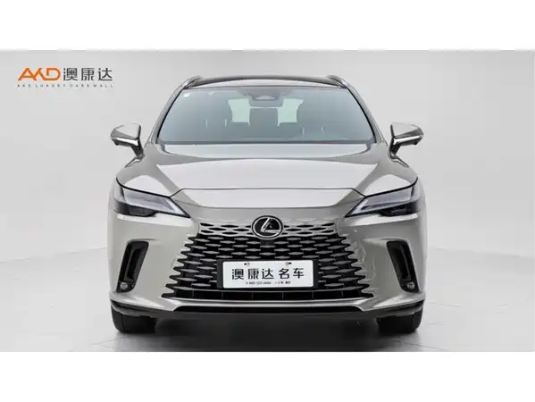 Lexus RX New Energy 2025
