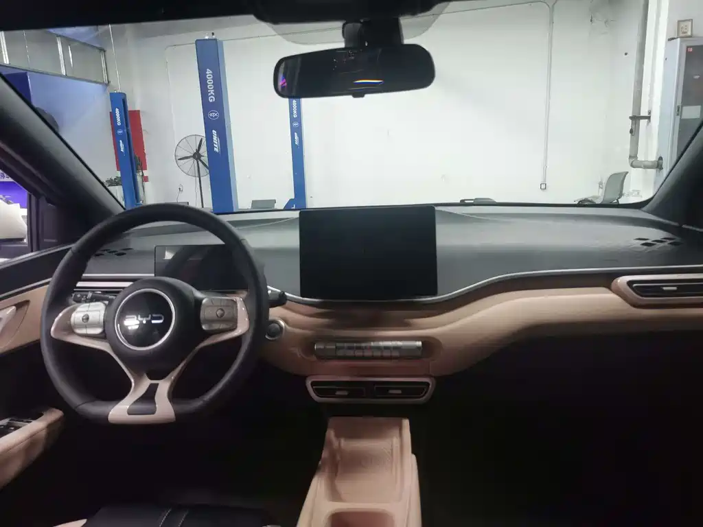 BYD Seagull 2024