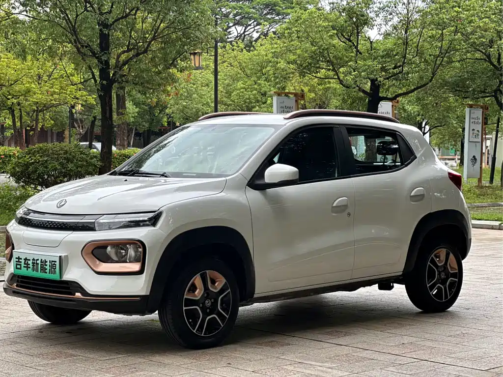 Dongfeng Nano BOX 2024