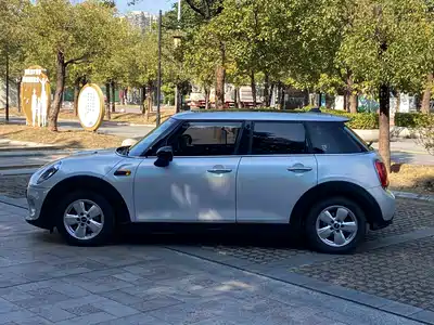 MINI MINI 2015