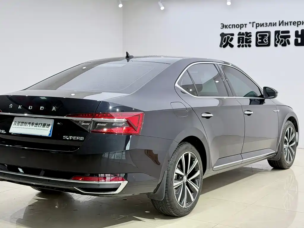 Skoda Speedy 2024