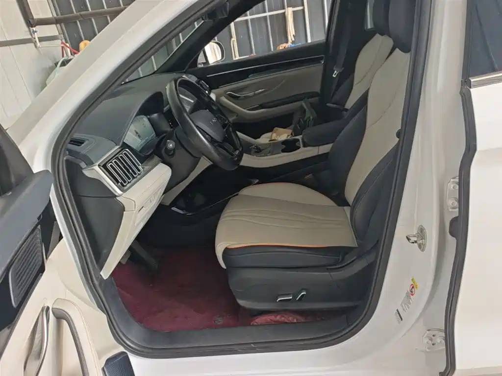 BYD PLUS New Energy 2024 — фото 15
