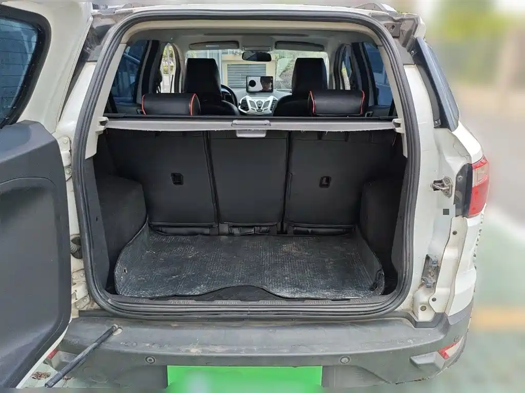 Ford Ecosport 2015 — фото 20