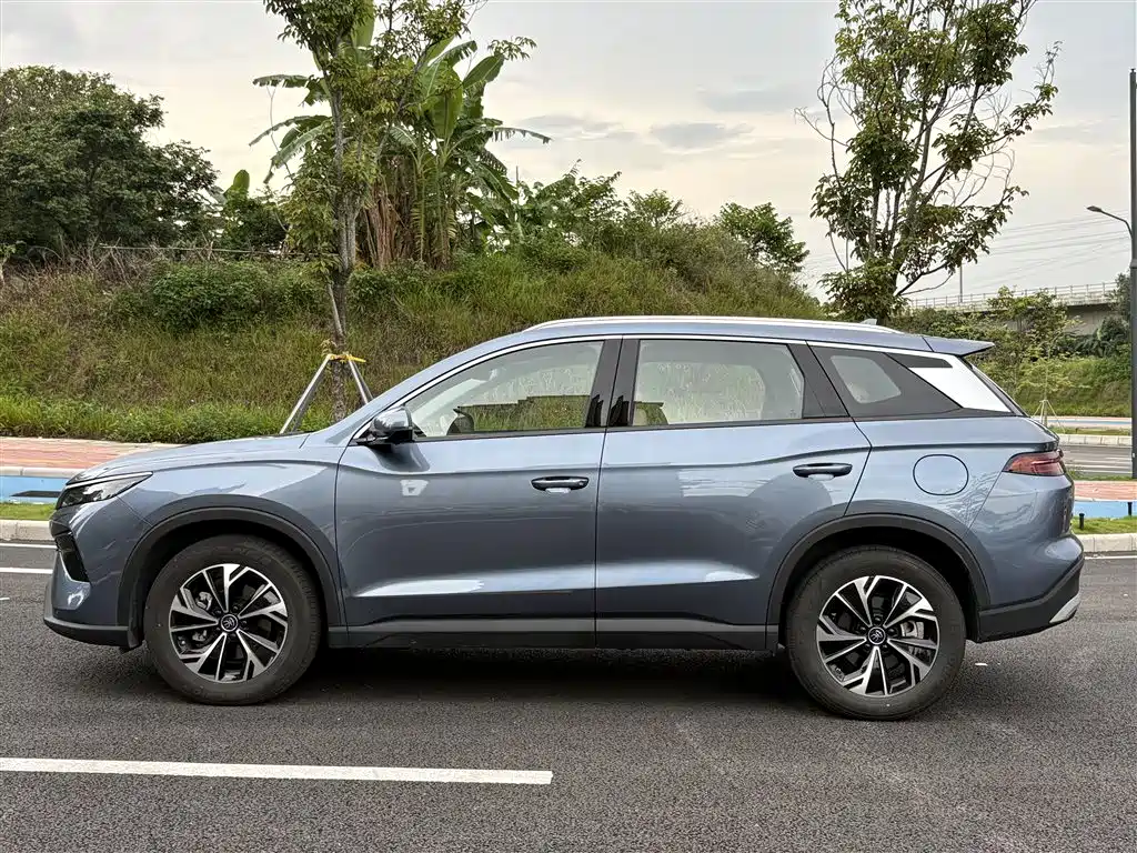 BYD Pro New Energy 2024 — фото 3