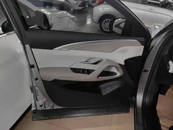 BYD Song Pro New Energy 2024