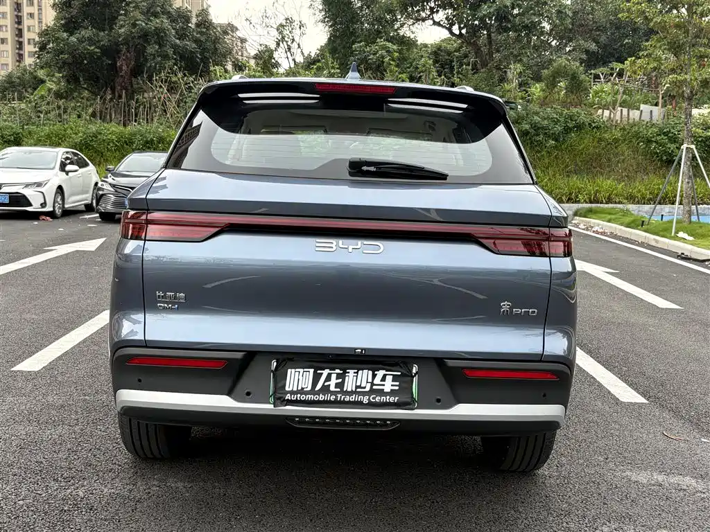 BYD Pro New Energy 2024 — фото 8