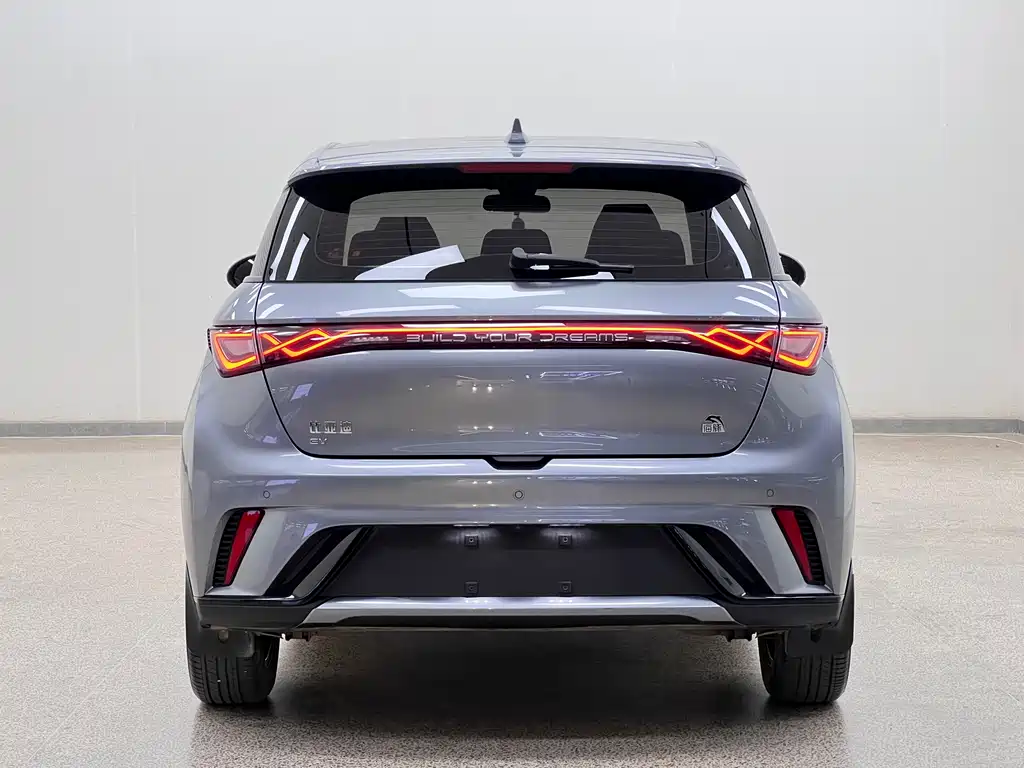 BYD Dolphin 2024