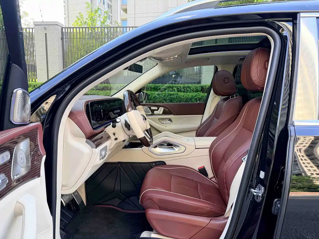 Mercedes-Benz Maybach GLS 2021 — фото 11