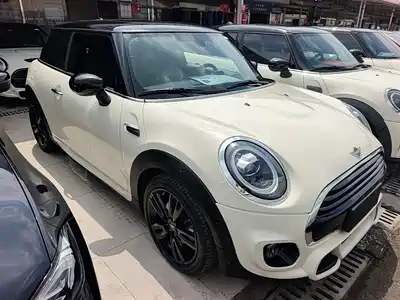 MINI MINI 2021