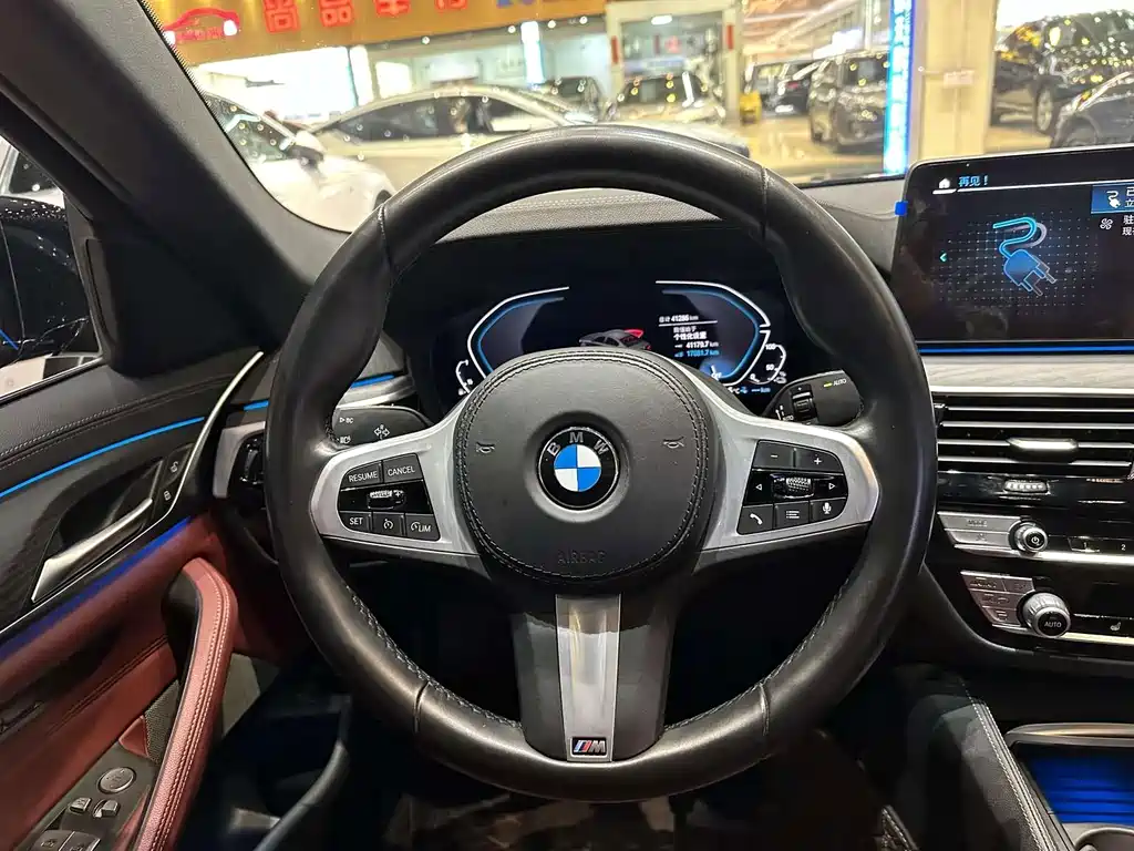 BMW 5 Series New Energy 2021