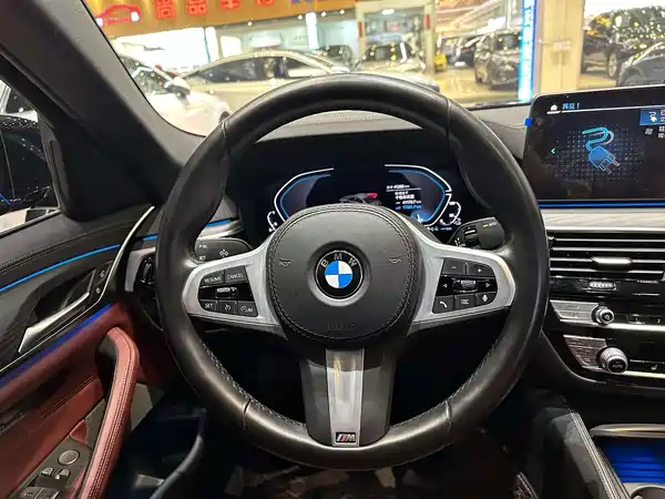 BMW 5 Series New Energy 2021
