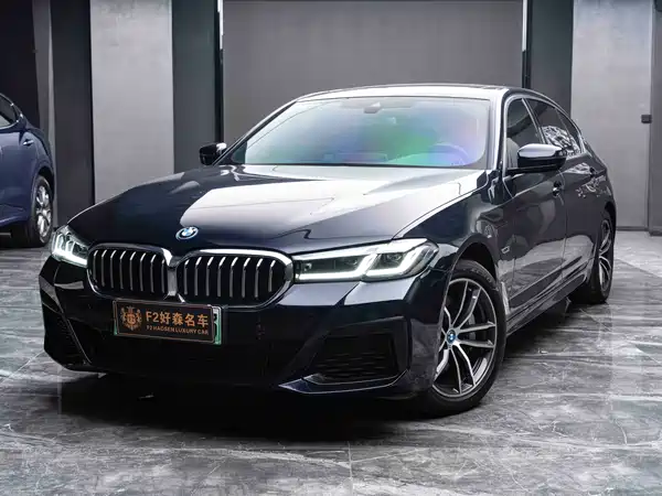 BMW 5 Series New Energy 2022