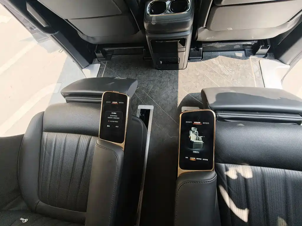 GAC Motor Trumpchi E9 2023 — фото 15