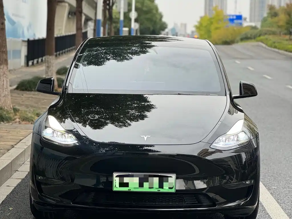 Tesla Model Y 2023 — фото 2